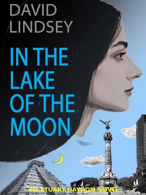 Cover image for In the Lake of the Moon